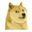 Изображение DOGW