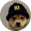 Image of DEA