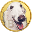 Bild von BORZOI