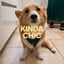 Image de CHIC