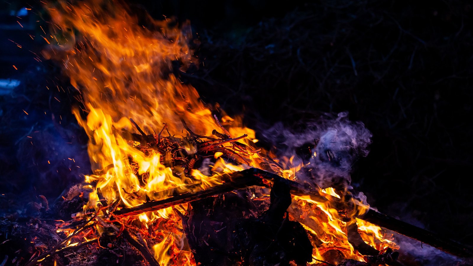 Top 3 Crypto Projects with Burning Mechanisms You Should Be Aware of |  CoinCodex