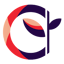 Image of DCP