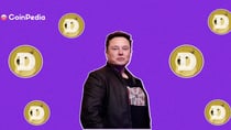 Is Elon Musk a Dogecoin Whale? Did Musk Sell 1.4 billion worth of DOGE?