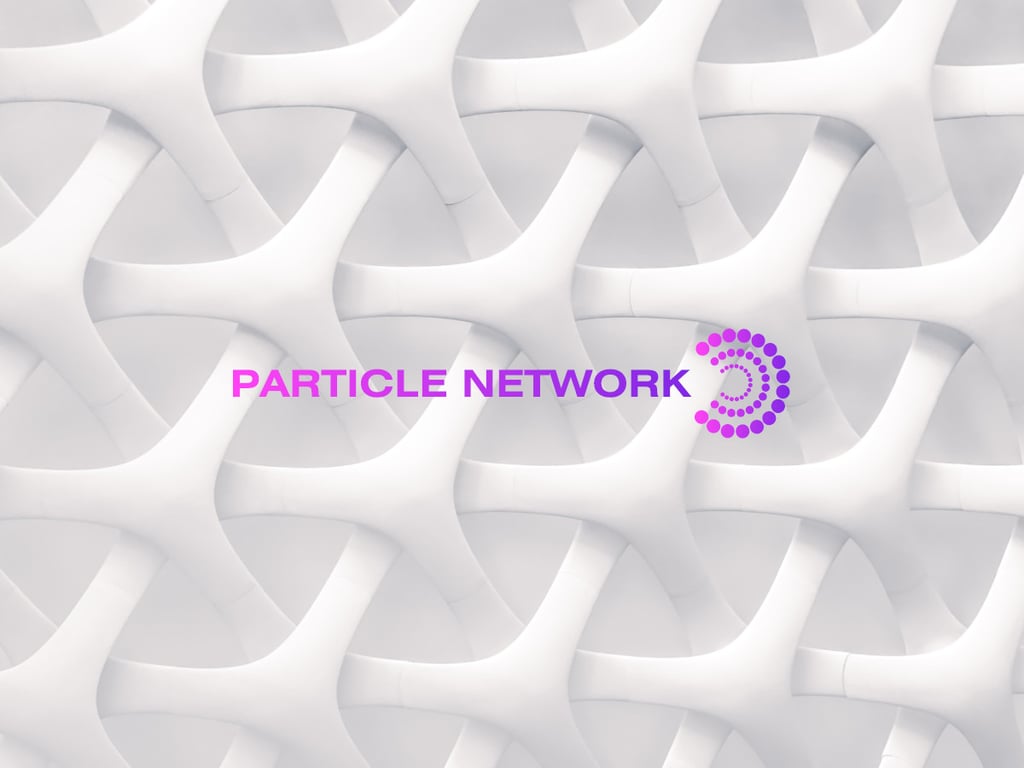 Particle Network