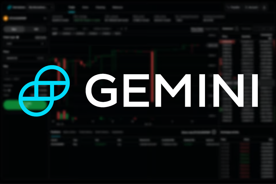 Gemini exchange