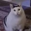Imagine cu HUHCAT/SOL