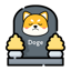Imagen de TDOGE