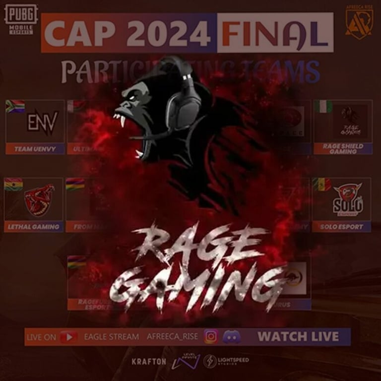 Rage Shield Gaming Makes it Among The Top 16 Teams in CAP2024