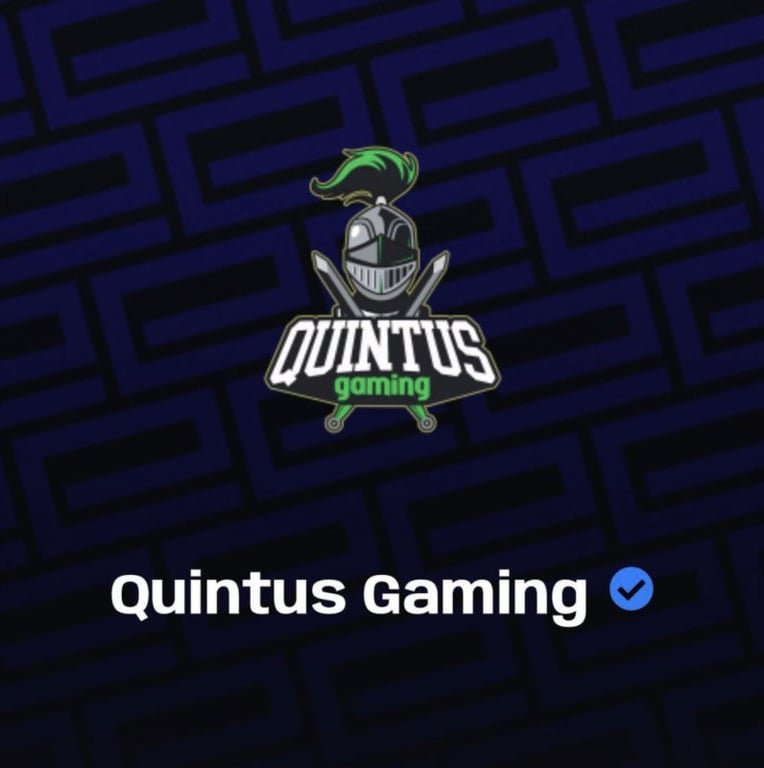 Quintus gaming becomes the 1st Nigerian team To be verified by fifa.