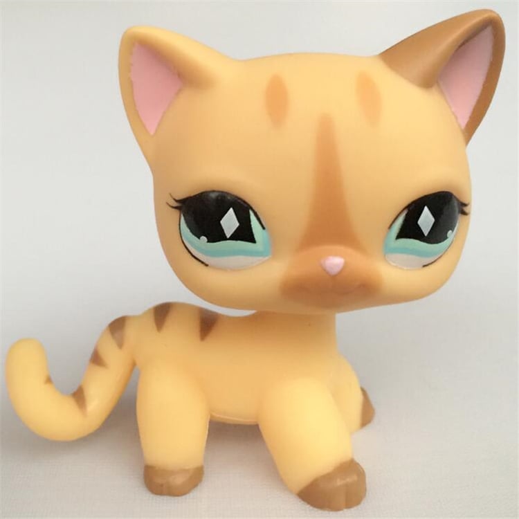 Product photo