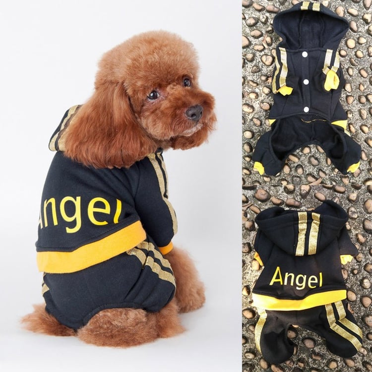 Product photo