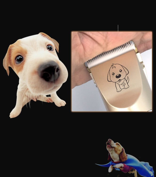 Product photo