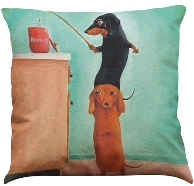 Productfoto