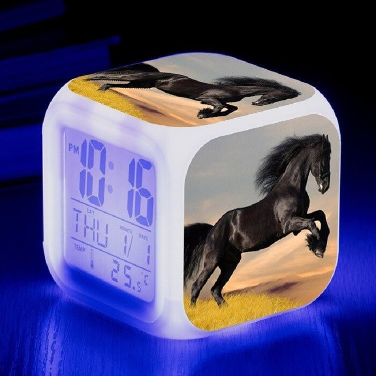 Productfoto