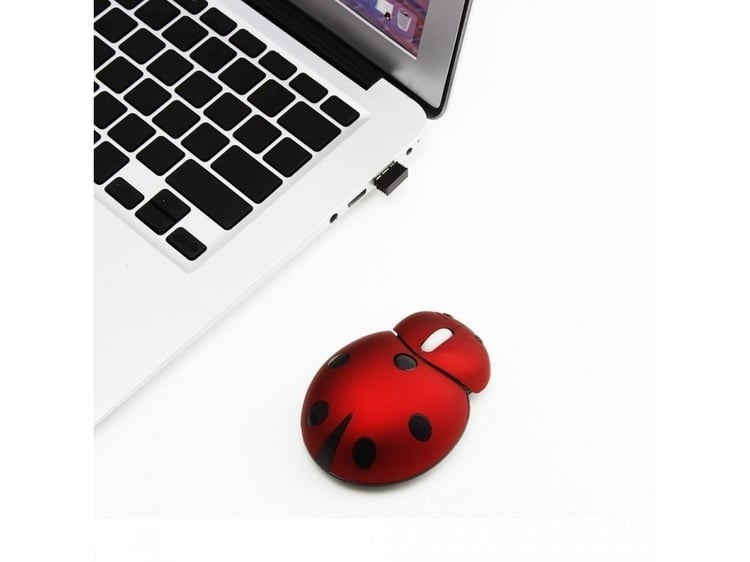 Productfoto