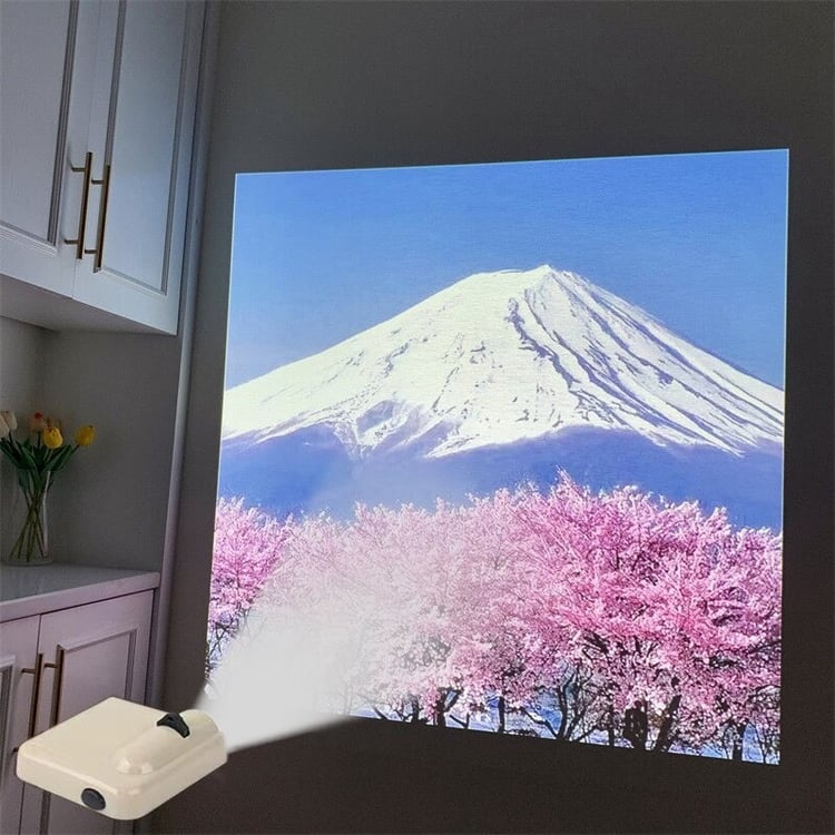 Productfoto
