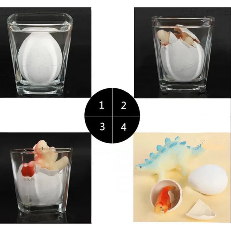 Productfoto