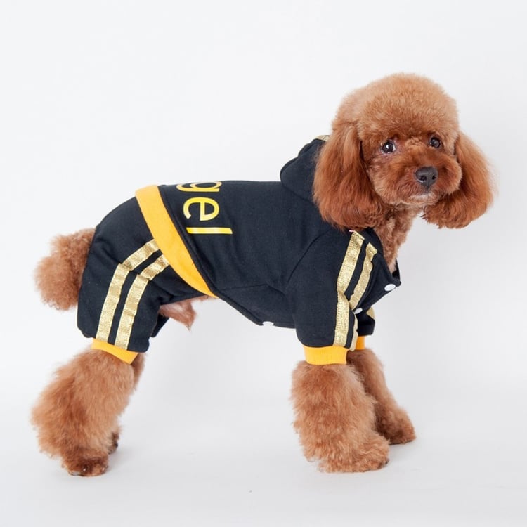 Product photo