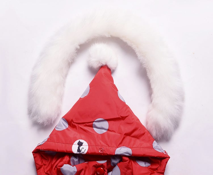 Product photo