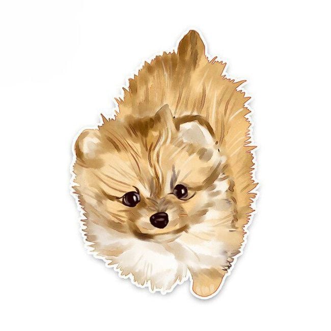 Product photo