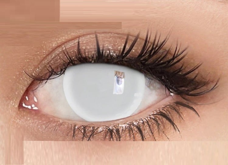 Productfoto