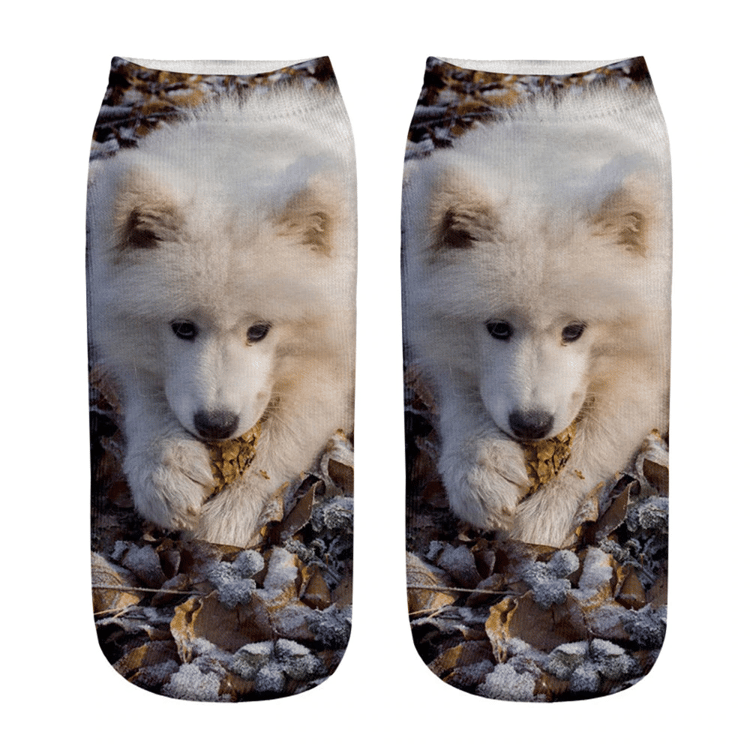 Product photo