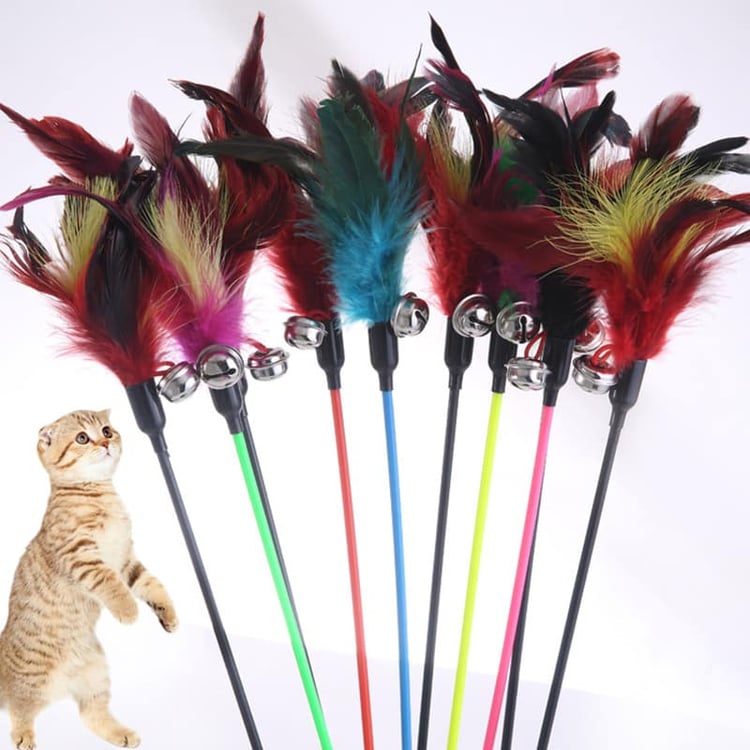 Product photo