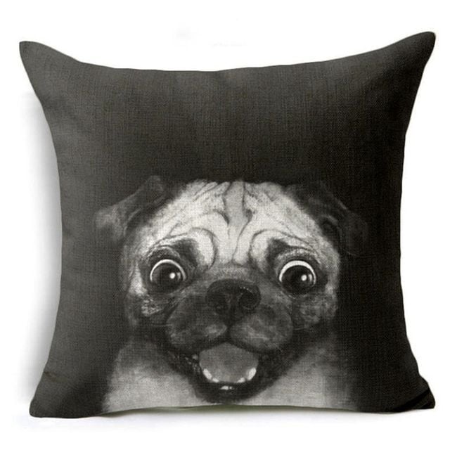 Productfoto