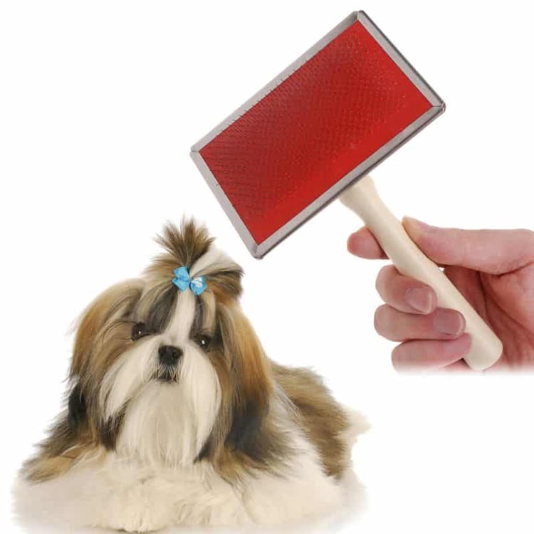 Product photo