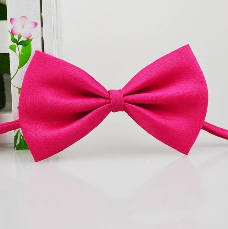 Productfoto