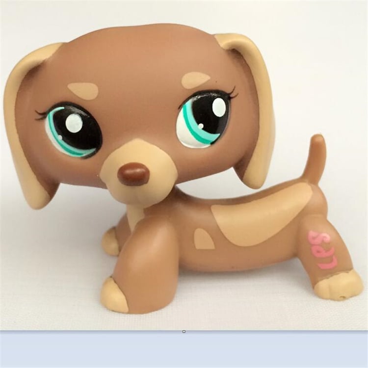 Product photo
