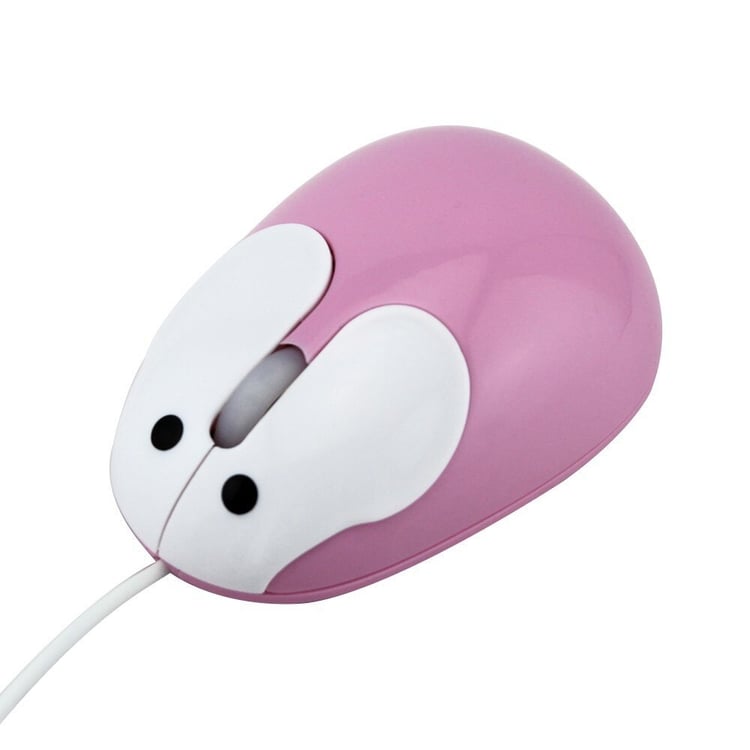 Productfoto