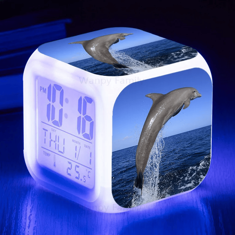 Productfoto