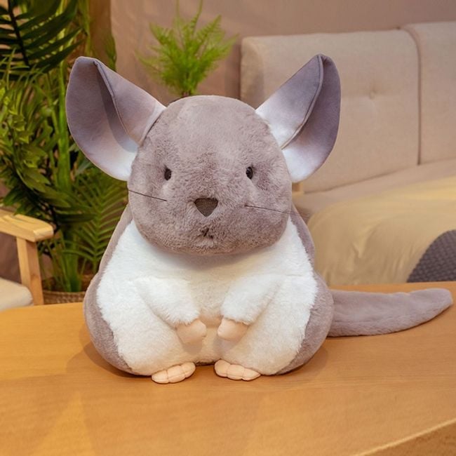 Product photo