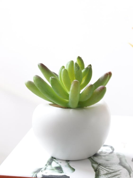 Productfoto