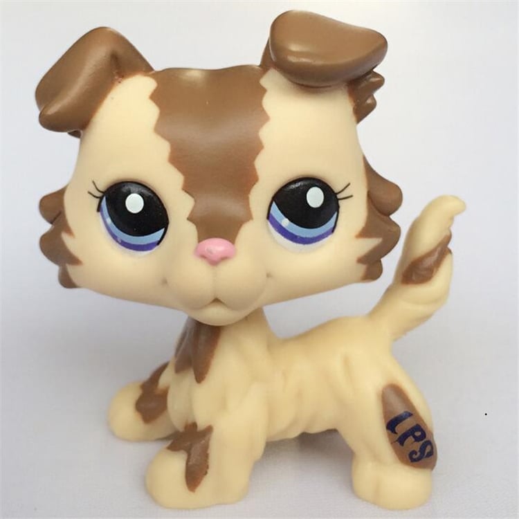 Product photo
