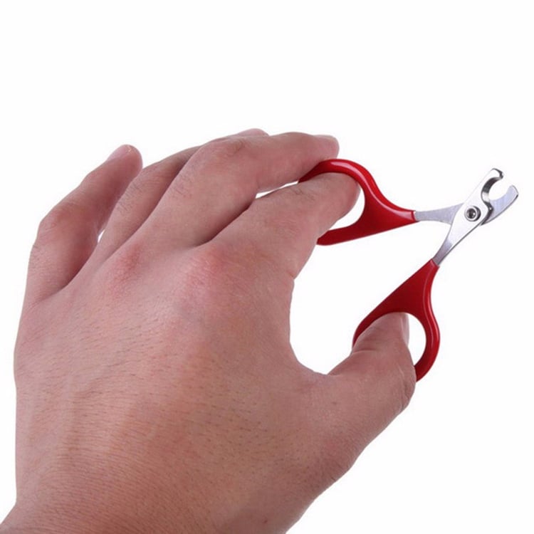 Product photo