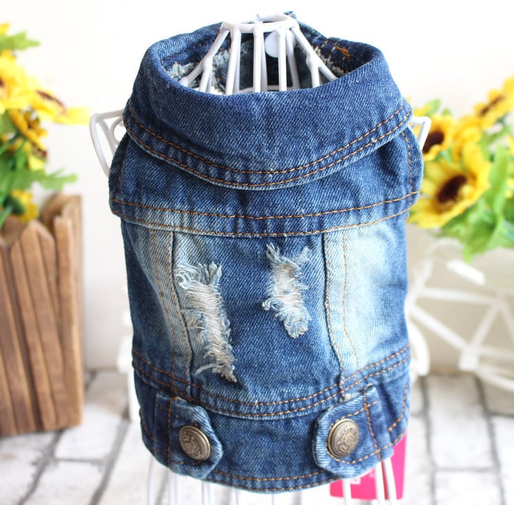 Product photo