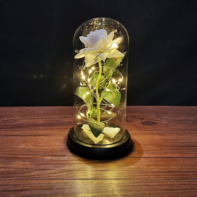 Productfoto