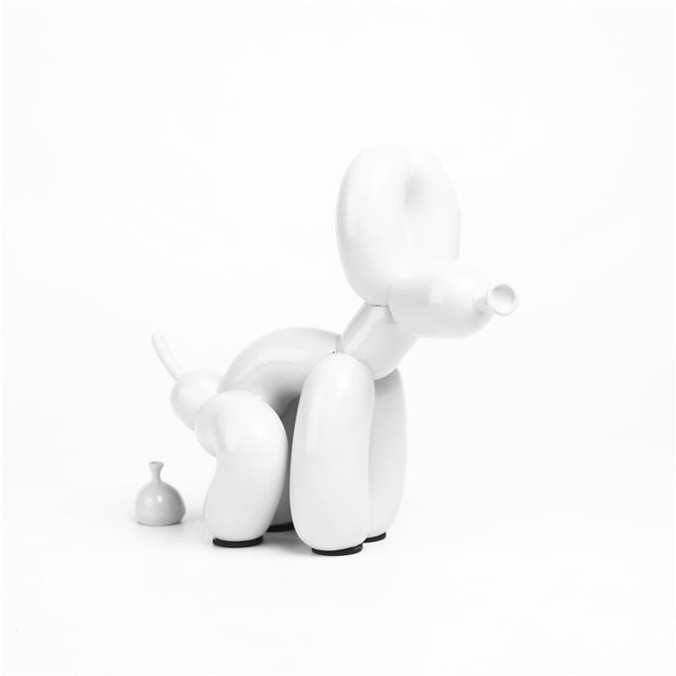 Productfoto
