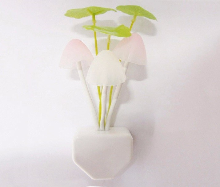 Productfoto
