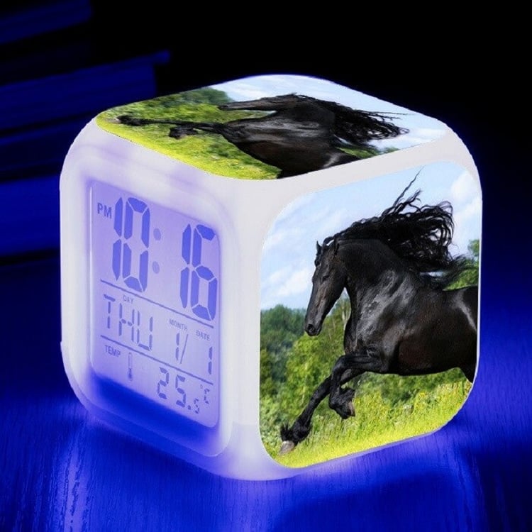 Productfoto