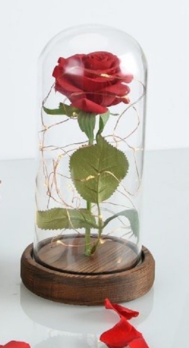 Productfoto
