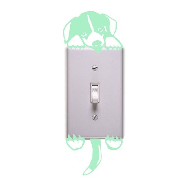 Product photo