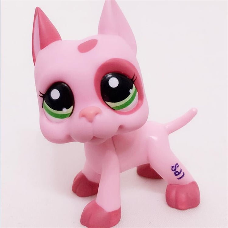 Product photo
