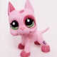 Product photo