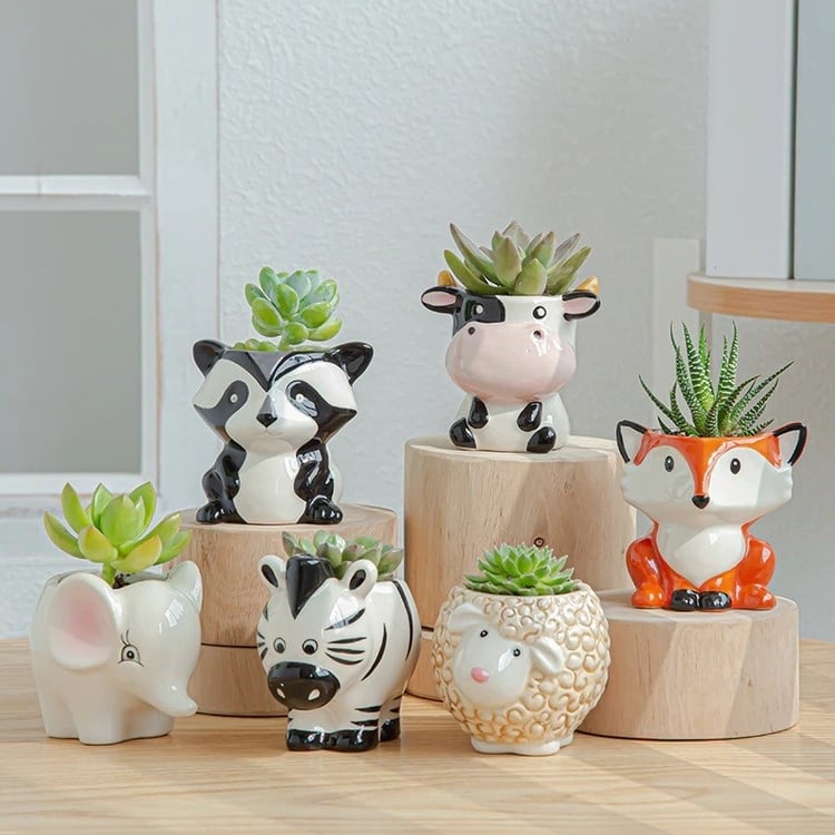 Productfoto