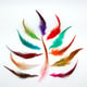 Productfoto