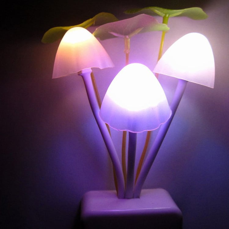 Productfoto