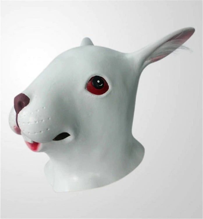 Productfoto